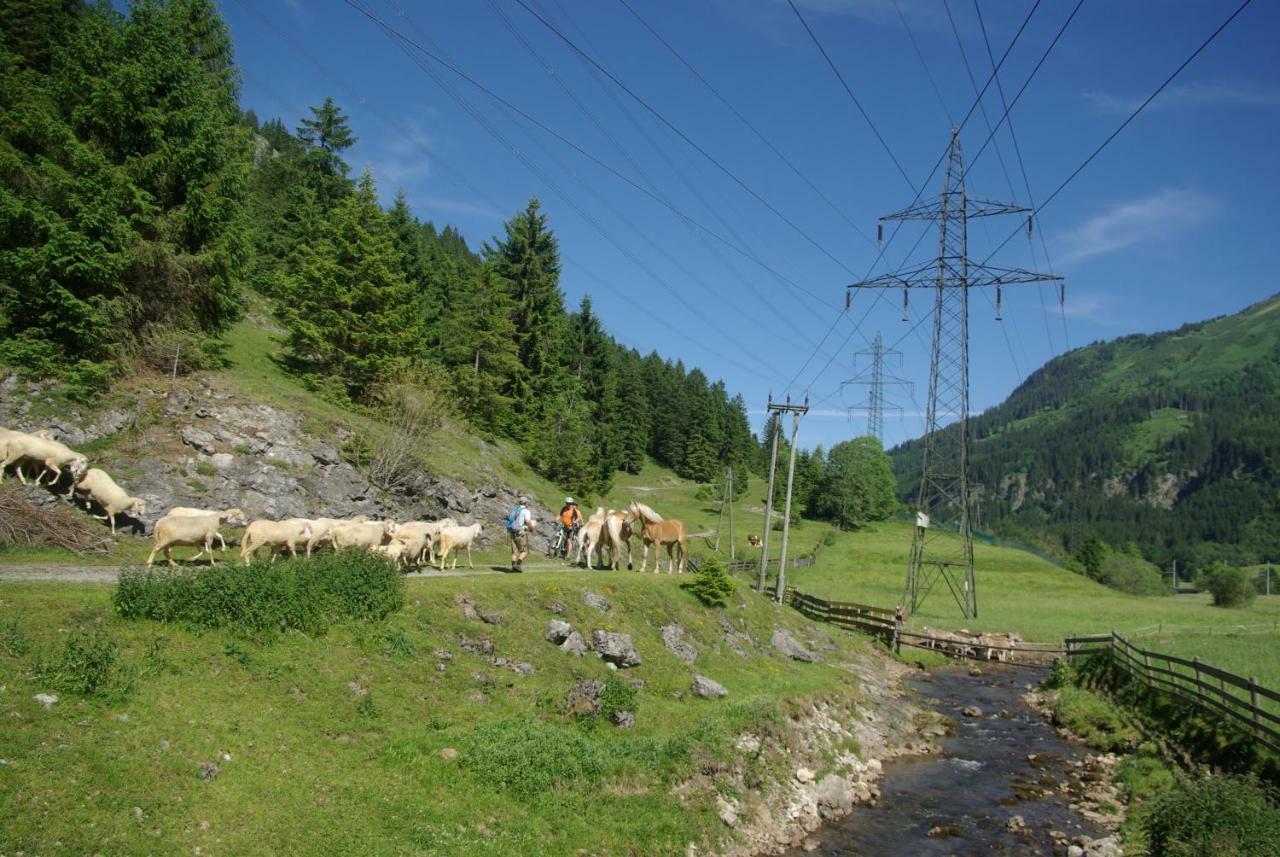ホテル Haus Kohlberghof ビヒルバッハ エクステリア 写真